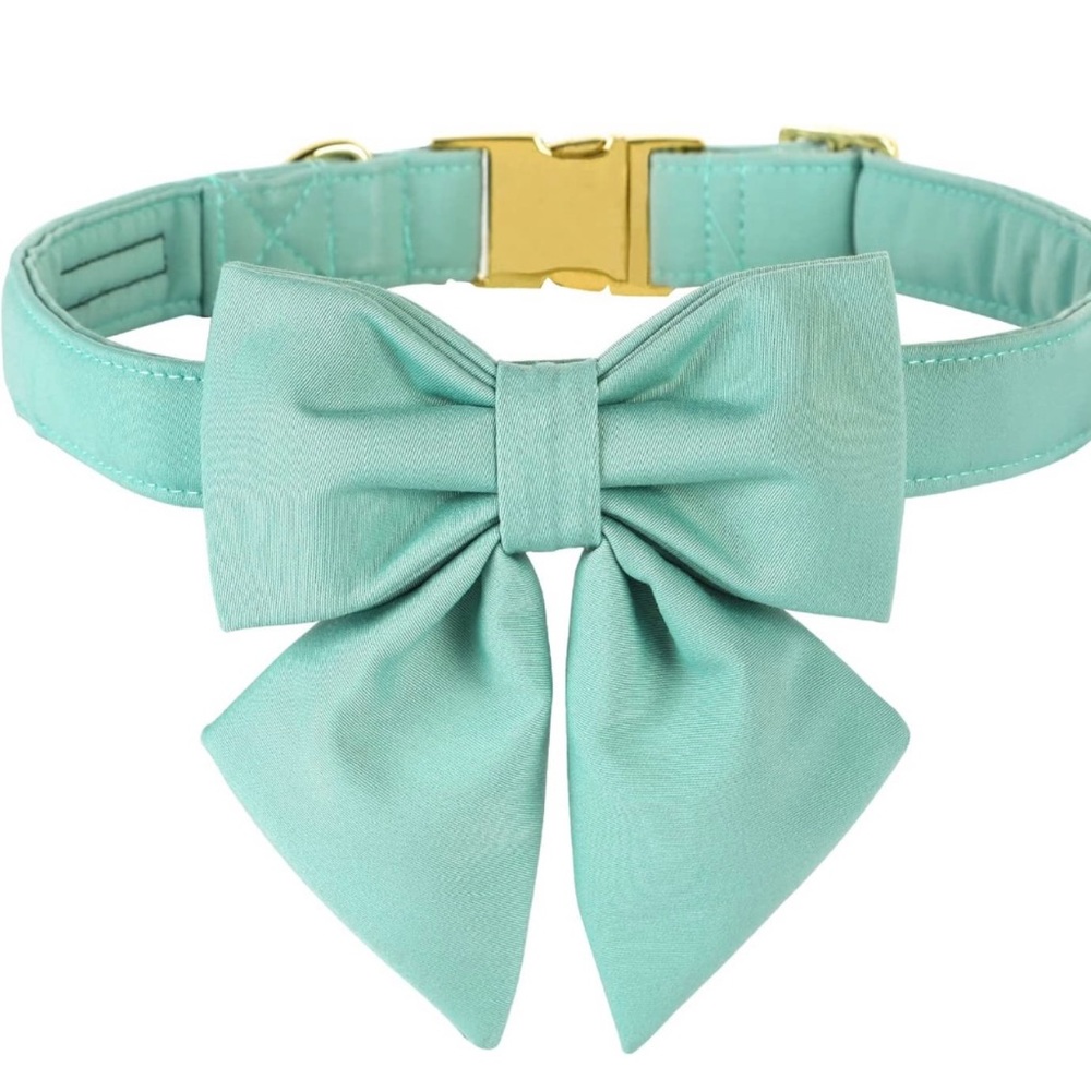 Bow dog collar